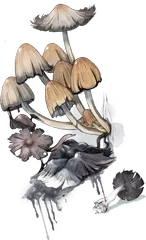 Mica Cap illustration